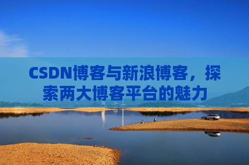 CSDN博客与新浪博客,探索两大博客平台的魅力